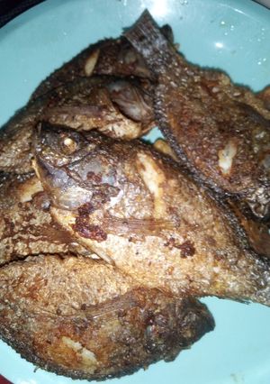 Foto resep Ikan mujaer goreng