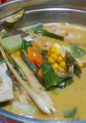 Foto resep Sayur lodeh sederhana