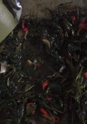 Foto resep Tumis Kangkung Saos Tiram
