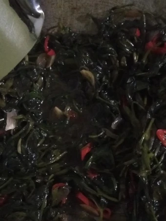 Cara Gampang Membuat Resep Tumis Kangkung Saos Tiram yang Enak Banget Anti Ribet, Lezat