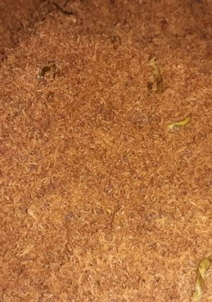Foto resep Surendeng, enak di makan pake ketan 😍🤤