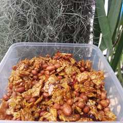 A picture of Kering Tempe Kacang.