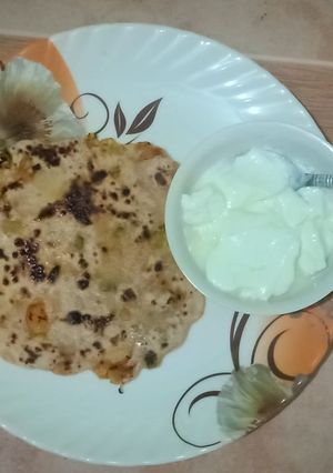 A picture of Veg Parantha left over veg.