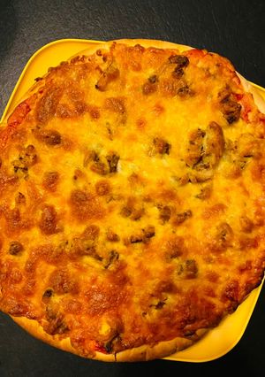 A picture of Cheesy 🍕 kids friendly 😃.