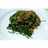 Kangkung Tumis Gurih