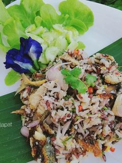 รูปของ ข้าวแมว(ข้าวคลุกปลาทู)​