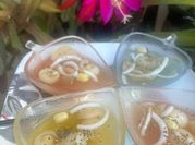 A picture of lotus sweet