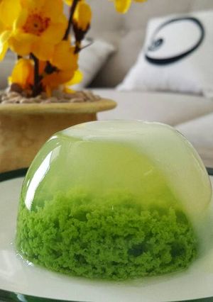 Foto resep Pudding Lumut Cantik
