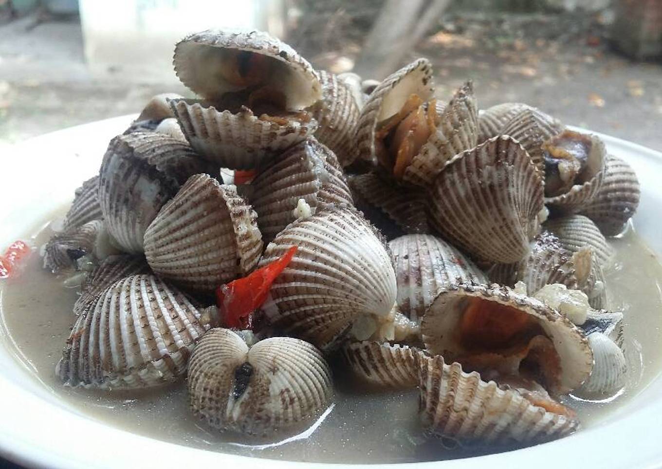 Kerang Dara Rebus