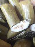 Lontong isi oncom