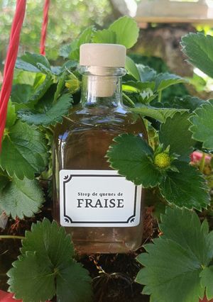 Une photo de 🍓 Sirop aux queues de fraise (antigaspi)
