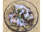 Gambar telur pesto
