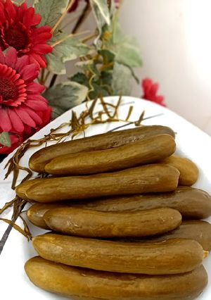 عکسی از دستور خیارشور ترخون🌿