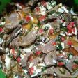 Lengua a la vinagreta