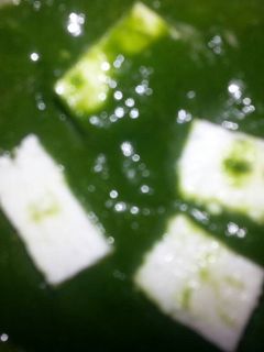 पालक पनीर (Palak paneer recipe in hindi) रेसिपी मुख्य फोटो