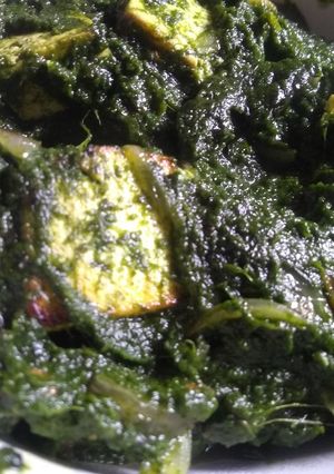 A picture of Palang paneer.