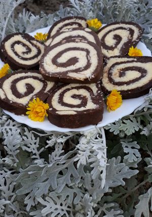 O poză a rețetei Salam de biscuiți cu cremă de cocos.