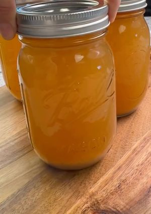 A picture of Slow Cooker Salmon Stock.