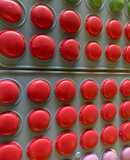 Deliciosos macarrons