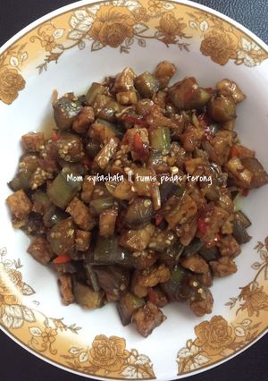 Foto resep Tumis pedas terong campur tempe