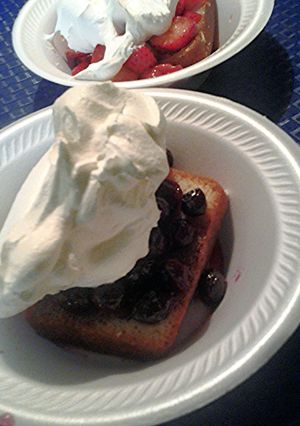 A picture of Blueberry Short cake for Skye.