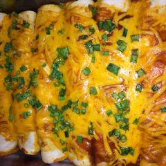 A picture of Southern Chicken Enchilada.
