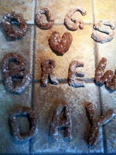 A picture of Home Brew Day Dog Biscuits.