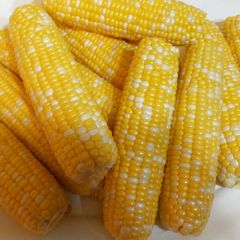 A picture of Perfect corn on the cob.