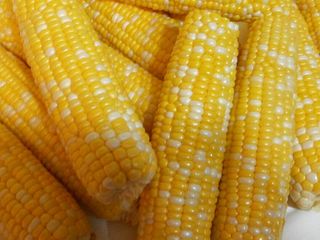Perfect corn on the cob