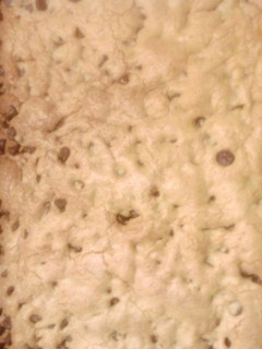 A picture of Chocolate Chip Brownies Bars.