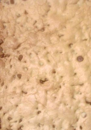 A picture of Chocolate Chip Brownies Bars.