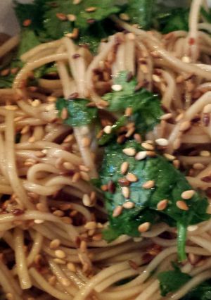 A picture of Hot and cold soba noodles.