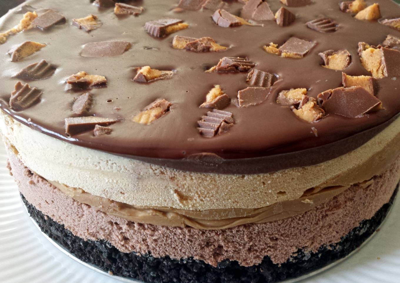 Chocolate Peanut Butter Ice Cream Torte