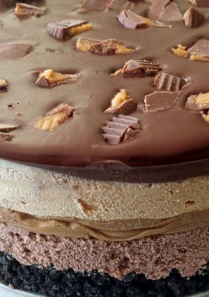 A picture of Chocolate Peanut Butter Ice Cream Torte.