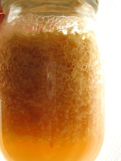 A picture of How to Make Apple Yeast.