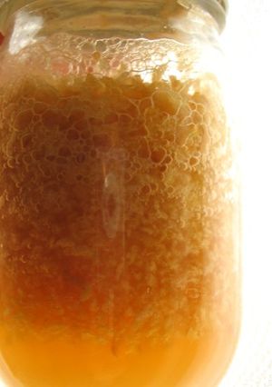 A picture of How to Make Apple Yeast.