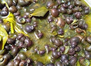 Foto resep Tutut kuah kuning Ala Umi