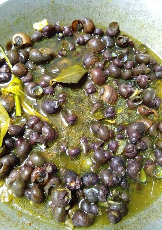Foto resep Tutut kuah kuning Ala Umi