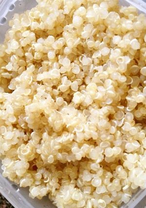 A picture of How to Cook Quinoa.