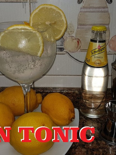 Una foto de El Gin Tonic