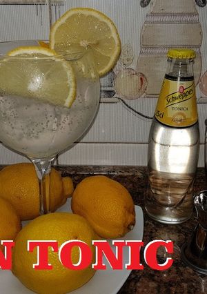Una foto de El Gin Tonic