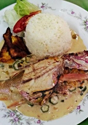A picture of Fish in coconut sauce.