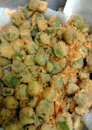A picture of fried okra.