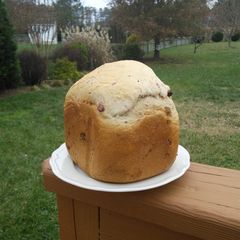 A picture of Cranberry Cinnamon Bread.