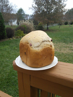 A picture of Cranberry Cinnamon Bread.