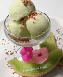 Helado de melón elaborado con la Monsieur cuisine Plus