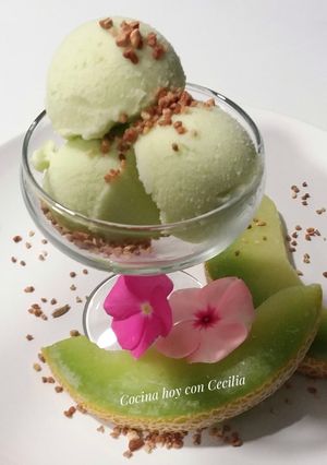 Foto principal de Helado de melón elaborado con la Monsieur cuisine Plus
