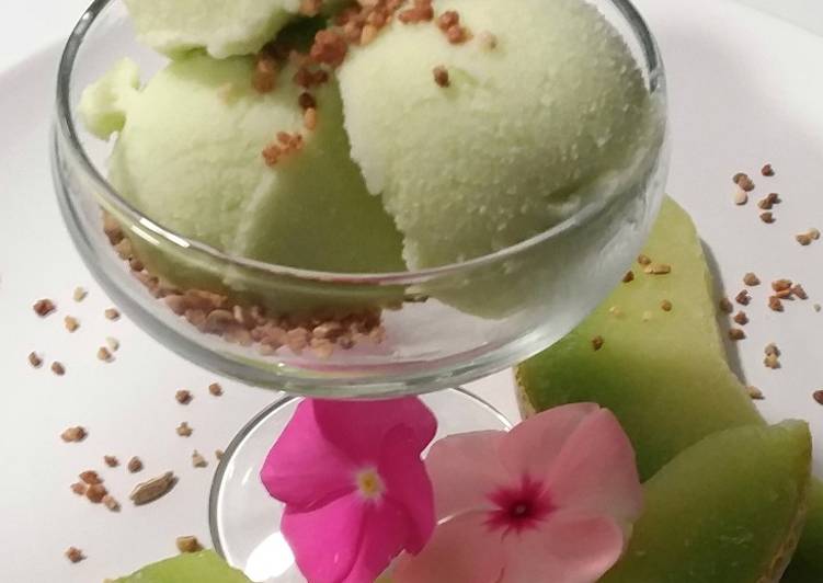 Helado de melón elaborado con la Monsieur cuisine Plus