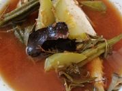 Gambar asam pedas utara