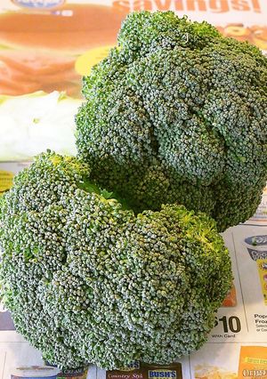 A picture of The Best Way To Keep Broccoli Fresh!.